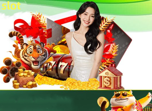 Suporte bet558